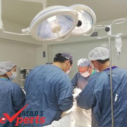 International School of Medicine Hospital Training - MBBSExperts