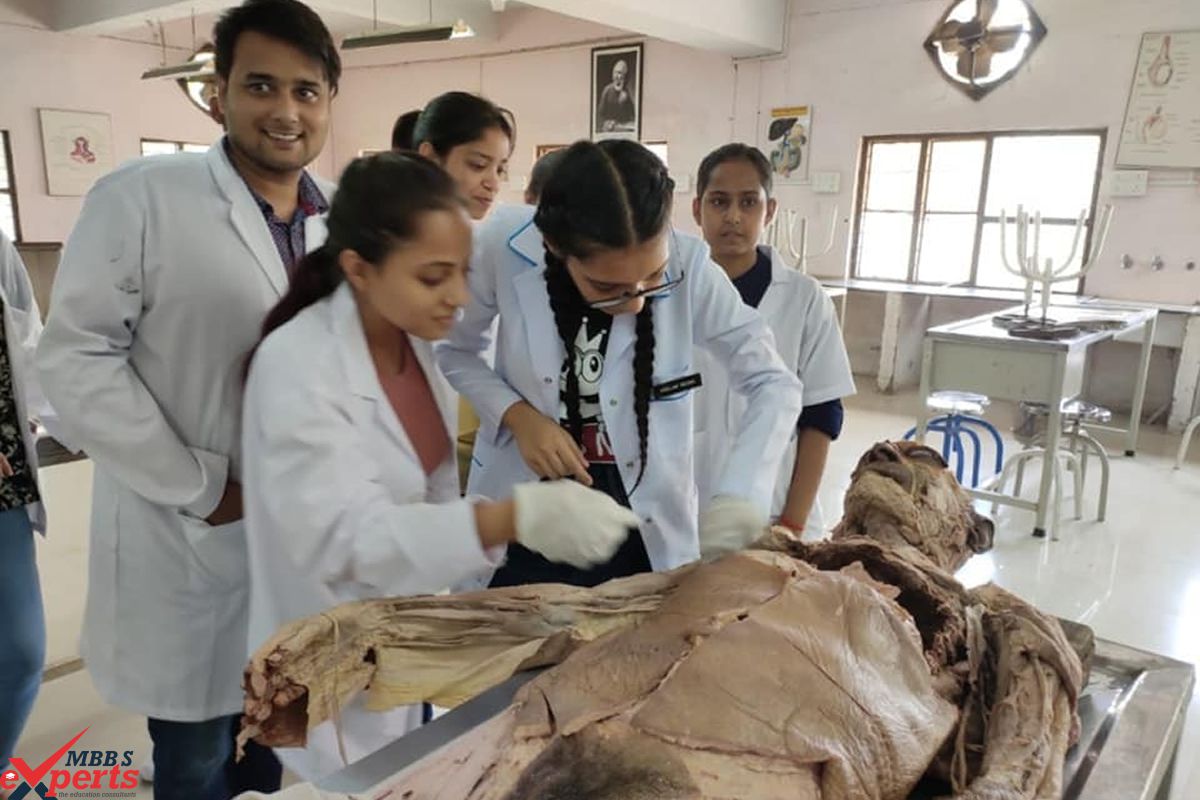  Study Medicine Abroad Ltd- Photo Gallery-264